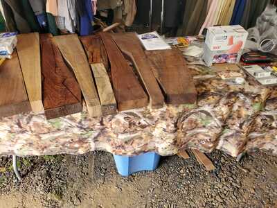 20230428 115550   Copy